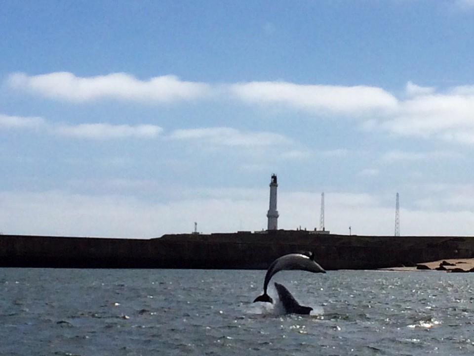 Aberdeen Lighthouse Cottages - Coastal, Dolphins Exteriör bild